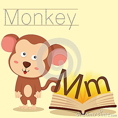 猴子的英语怎么说